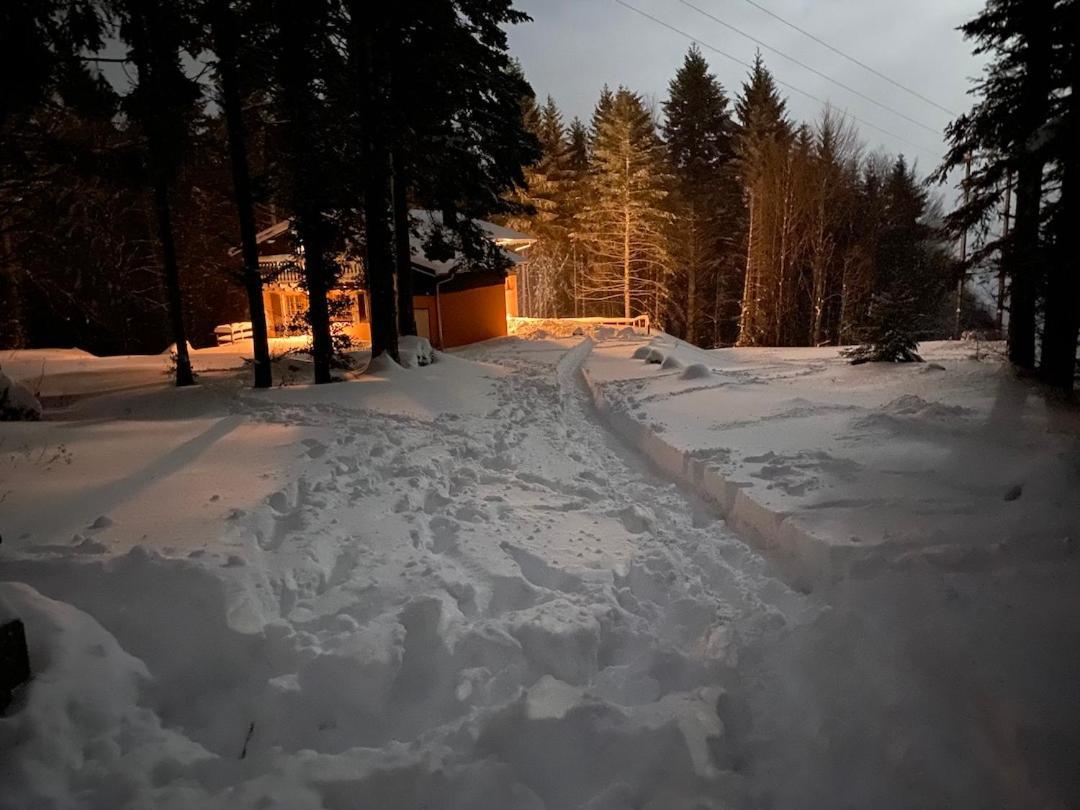 Chalet De Manu Sondernach Εξωτερικό φωτογραφία